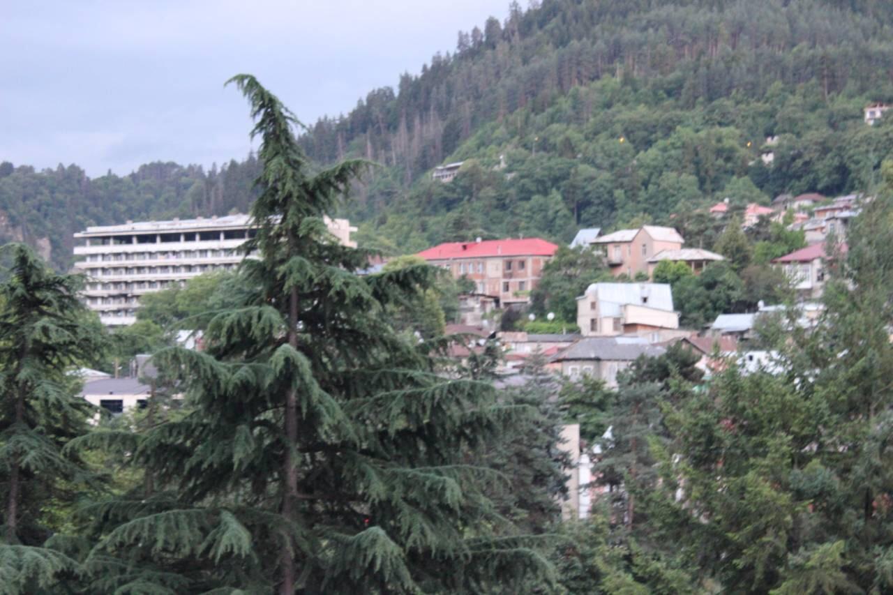 Diasamidzeebi Apartment Bordzjomi Buitenkant foto