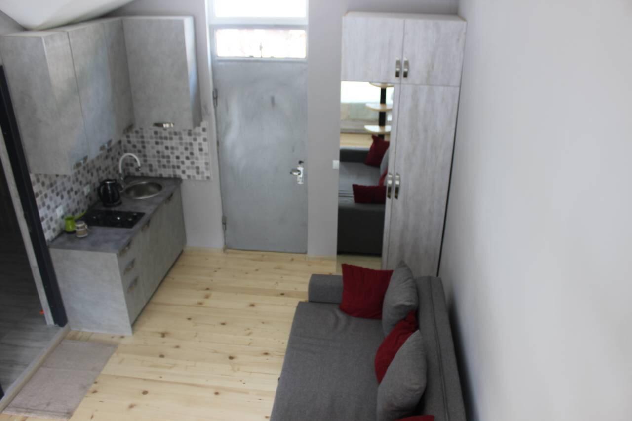 Diasamidzeebi Apartment Bordzjomi Buitenkant foto