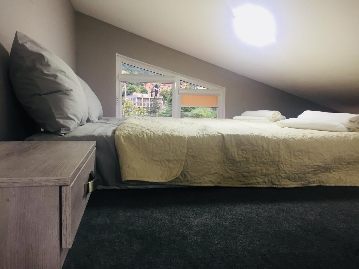 Diasamidzeebi Apartment Bordzjomi Buitenkant foto