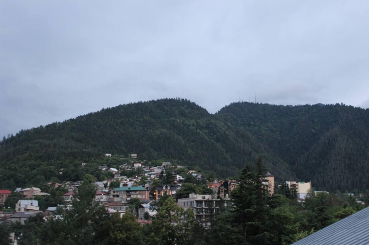 Diasamidzeebi Apartment Bordzjomi Buitenkant foto