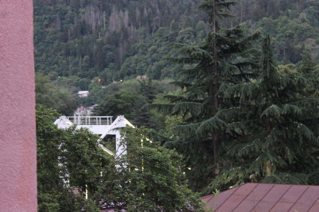Diasamidzeebi Apartment Bordzjomi Buitenkant foto